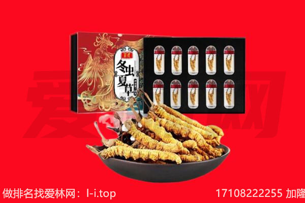 荆门回收虫草.jpg